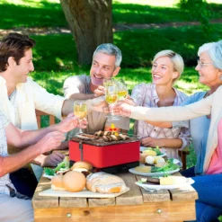 Barbacoa Portatil Sin Humo Teide Rojo -Napoleon || Weber || Broil King Ventas Barbacoa Portatil Sin Humo Teide Rojo 14