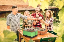 Barbacoa Portatil Sin Humo Teide Verde -Napoleon || Weber || Broil King Ventas Barbacoa Portatil Sin Humo Teide Verde 11