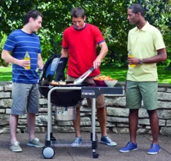 Weber Performer Original GBS 19 Weber Performer Original GBS -Napoleon || Weber || Broil King Ventas Barbacoa Weber Performer Original 2