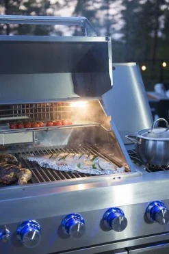 Cocina Exterior Acero Inoxidable Marbella -Napoleon || Weber || Broil King Ventas Cocina Exterior Acero Inoxidable Marbella 5