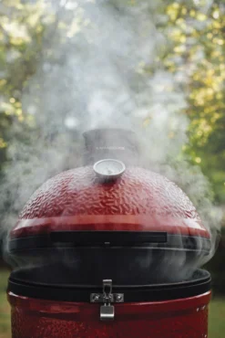 Kamado Joe Classic Joe II Sin Carro -Napoleon || Weber || Broil King Ventas Kamado Joe Classic Joe II Sin Carro 16c