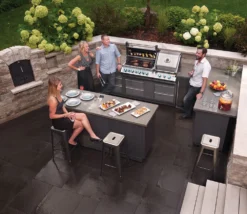 Napoleon Prestige Pro 825 Encastrar BIPRO825-3 -Napoleon || Weber || Broil King Ventas Napoleon Prestige Pro 825 Encastrar BIPRO825 3 13