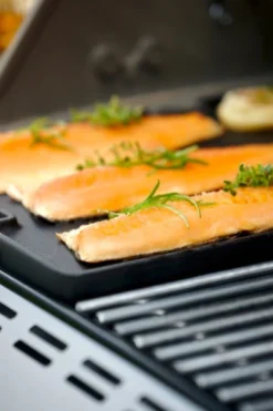 Plancha Weber Summit Series 400 Y 600 -Napoleon || Weber || Broil King Ventas Plancha Weber Summit series 400 600 7404