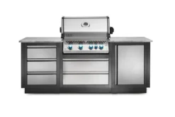 Napoleon Puerta Vertical Reverisble Módulo Cerrado Oasis 10 Napoleon Puerta Vertical Reverisble Módulo Cerrado Oasis -Napoleon || Weber || Broil King Ventas Puerta Vertical Reverisble modulo cerrado Oasis 3
