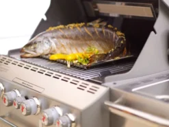 Barbacoa Weber Summit S-670 GBS Inox. -Napoleon || Weber || Broil King Ventas WEBER Graz 0160