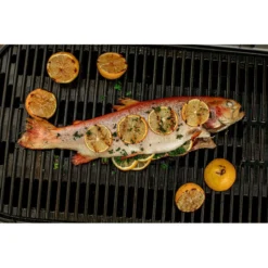 Weber Traveler Negra 36 Weber Traveler Negra -Napoleon || Weber || Broil King Ventas Weber Traveler Negra 17